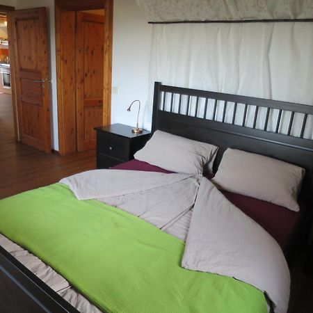 Alpaka-Ferien Appartement Wiechs am Randen Buitenkant foto