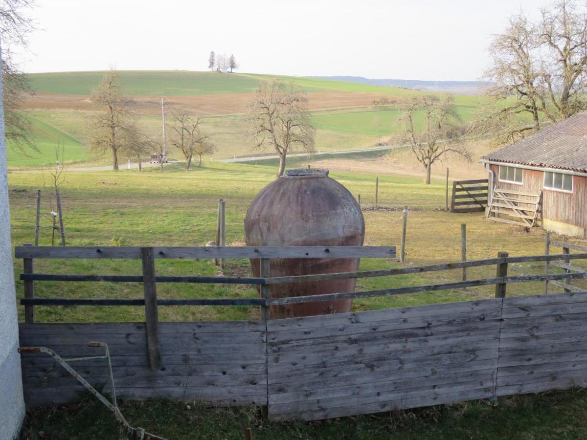 Alpaka-Ferien Appartement Wiechs am Randen Buitenkant foto