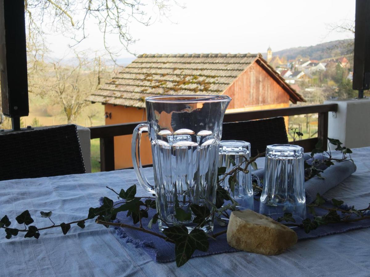 Alpaka-Ferien Appartement Wiechs am Randen Buitenkant foto