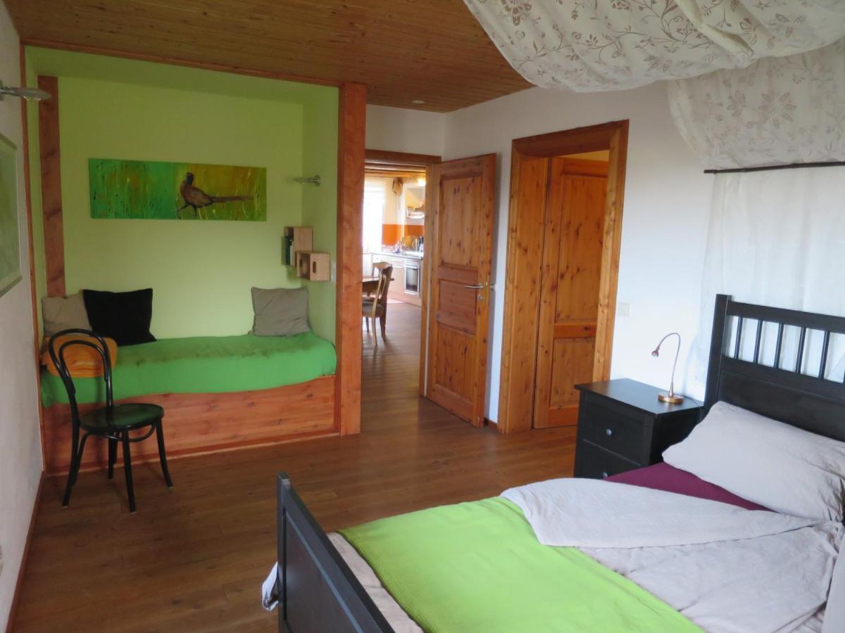 Alpaka-Ferien Appartement Wiechs am Randen Buitenkant foto