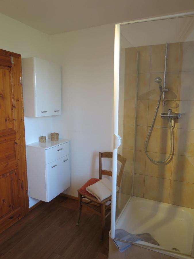 Alpaka-Ferien Appartement Wiechs am Randen Buitenkant foto