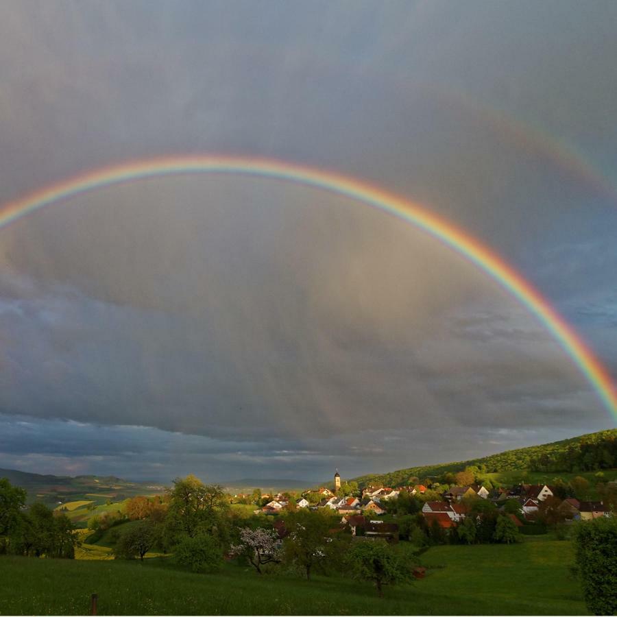 Alpaka-Ferien Appartement Wiechs am Randen Buitenkant foto