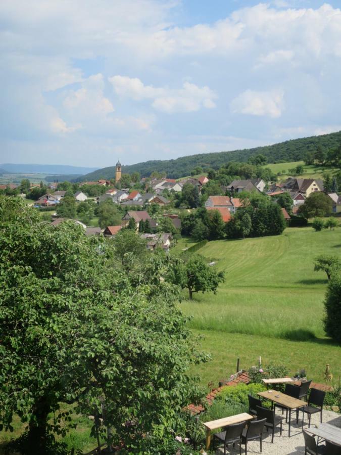 Alpaka-Ferien Appartement Wiechs am Randen Buitenkant foto